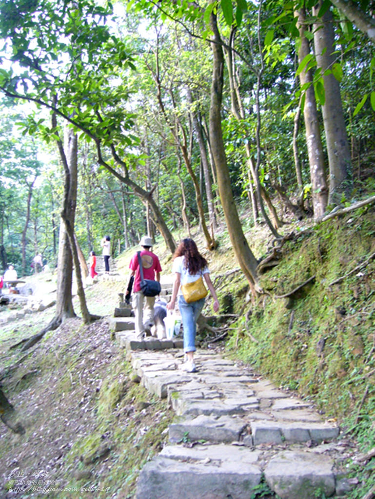 汐止星光後花園：【翠湖】賞油桐花＆螢火蟲 @麻吉小兔。世界行旅