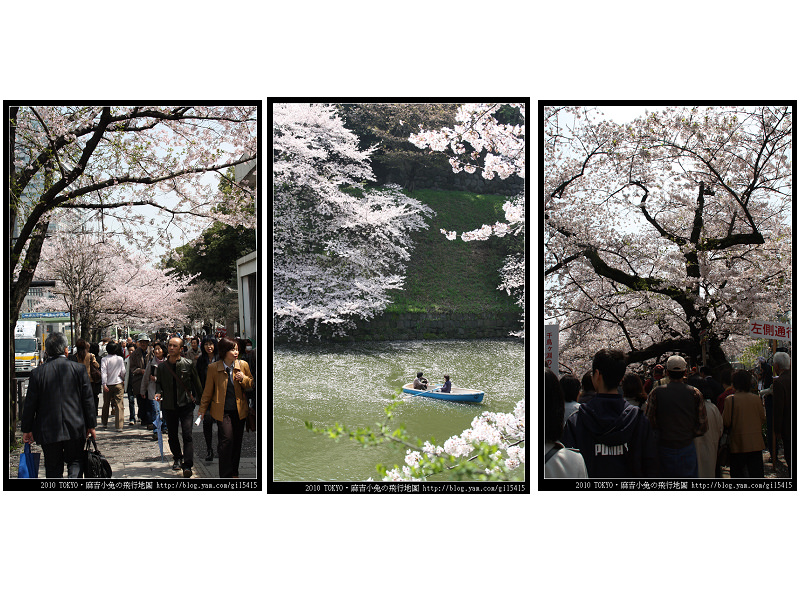 東京賞櫻勝地 NO 1：北之丸公園＆千鳥淵 @麻吉小兔。世界行旅