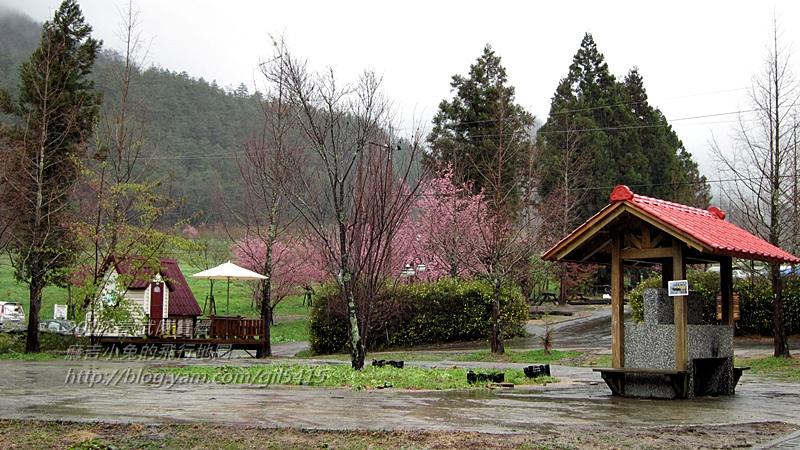 到武陵農場住小木屋露營賞櫻～可愛露營屋 @麻吉小兔。世界行旅