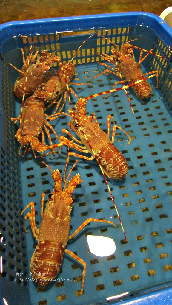 站著吃卡趣味！台北【上引水產】傳說的海鮮天堂 鱈場蟹好誘人啊～～～ @麻吉小兔。世界行旅