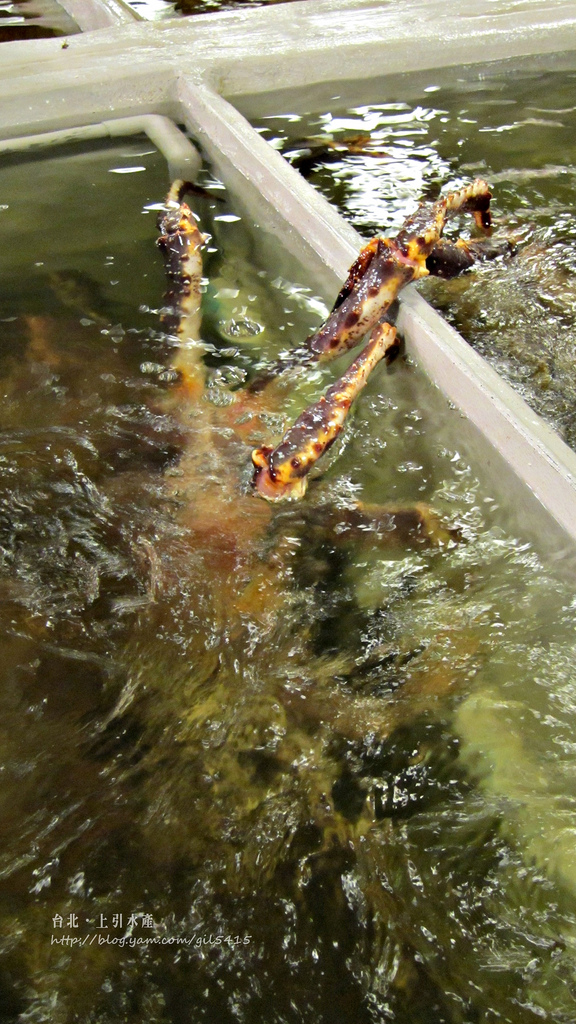 站著吃卡趣味！台北【上引水產】傳說的海鮮天堂 鱈場蟹好誘人啊～～～ @麻吉小兔。世界行旅
