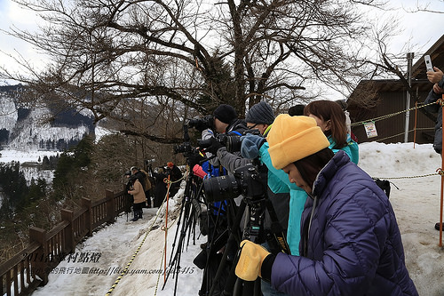 冬日的童話村【合掌村點燈】2014展望台攝影卡位攻略分享 @麻吉小兔。世界行旅