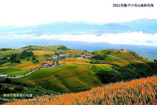 花蓮 台東 金針花行程美食【忘憂金針花。樂活花東】3天2夜小旅行推薦行程 @麻吉小兔。世界行旅