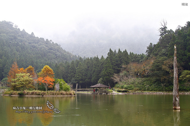 宜蘭北橫明珠賞楓【明池森林遊樂區】雲霧中的仙境