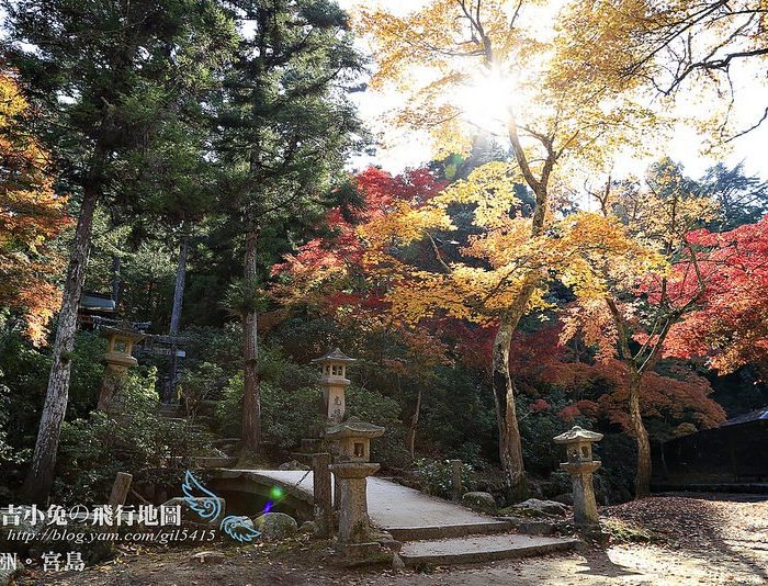 日本賞楓勝地-廣島【宮島・紅葉谷公園の紅葉】纜車 彌山 獅子岩 嚴島神社 @麻吉小兔。世界行旅