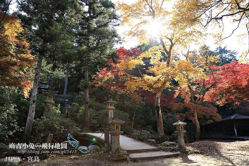 日本賞楓勝地-廣島【宮島・紅葉谷公園の紅葉】纜車 彌山 獅子岩 嚴島神社