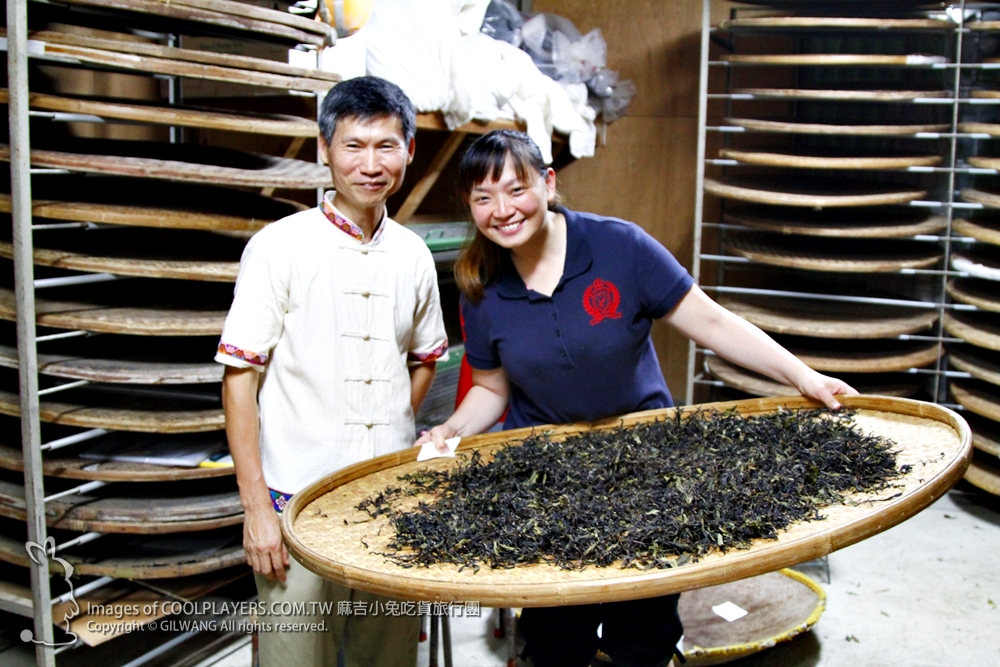 製茶方知茶甘苦~珍貴難忘【老吉子茶場】製茶體驗