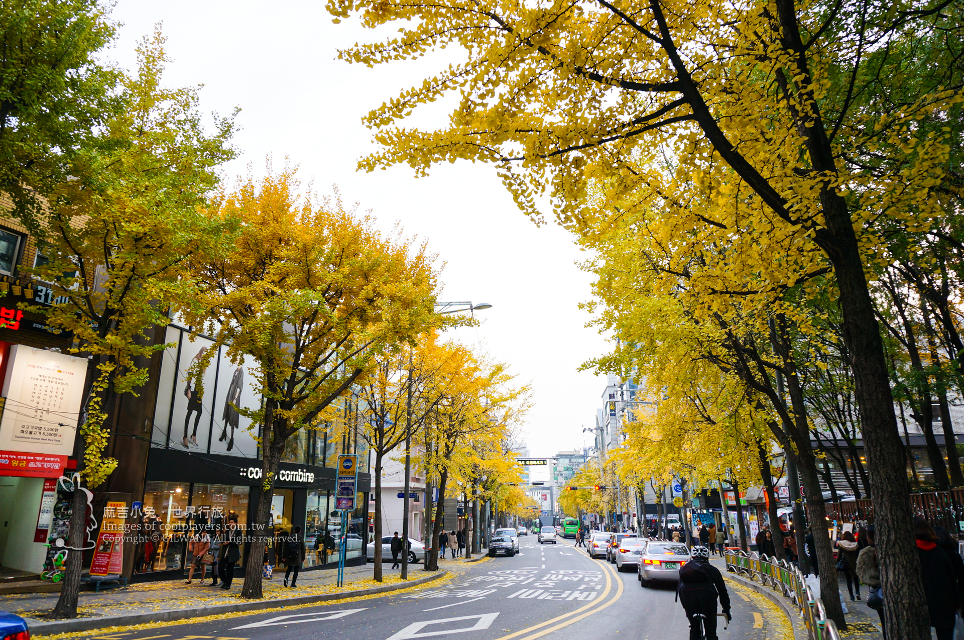 首爾賞楓景點【弘大銀杏大道】文創市集.逛街購物 @麻吉小兔。世界行旅