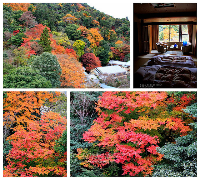 日本有馬温泉【月光園：鴻朧館/游月山莊】 @麻吉小兔吃貨旅行團