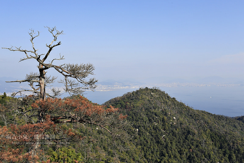 日本賞楓勝地-廣島【宮島・紅葉谷公園の紅葉】纜車 彌山 獅子岩 嚴島神社 @麻吉小兔。世界行旅