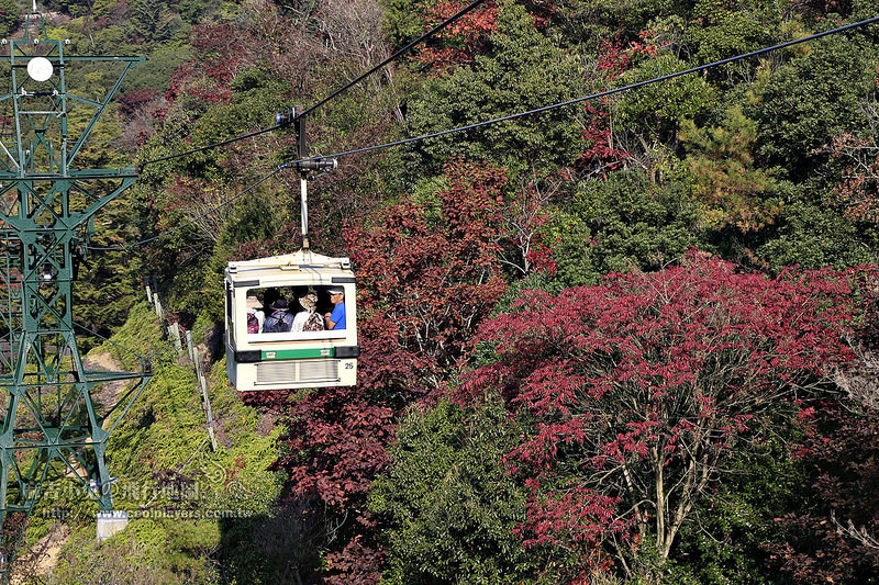 日本賞楓勝地-廣島【宮島・紅葉谷公園の紅葉】纜車 彌山 獅子岩 嚴島神社 @麻吉小兔。世界行旅