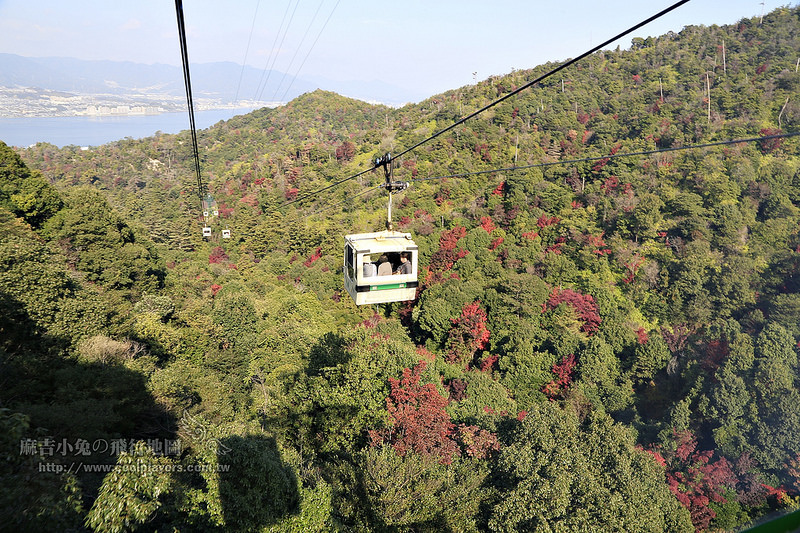 日本賞楓勝地-廣島【宮島・紅葉谷公園の紅葉】纜車 彌山 獅子岩 嚴島神社 @麻吉小兔。世界行旅