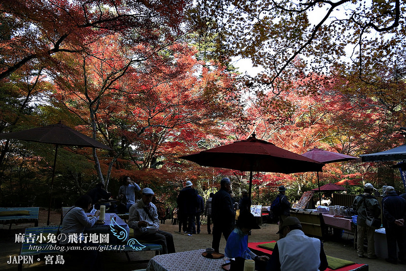 日本賞楓勝地-廣島【宮島・紅葉谷公園の紅葉】纜車 彌山 獅子岩 嚴島神社 @麻吉小兔。世界行旅