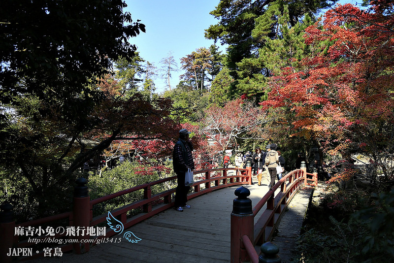 日本賞楓勝地-廣島【宮島・紅葉谷公園の紅葉】纜車 彌山 獅子岩 嚴島神社 @麻吉小兔。世界行旅